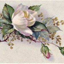 Схема вышивки «№2130738»