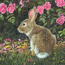 Схема вышивки «кролик»