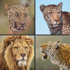 Схема вышивки «мир животных»