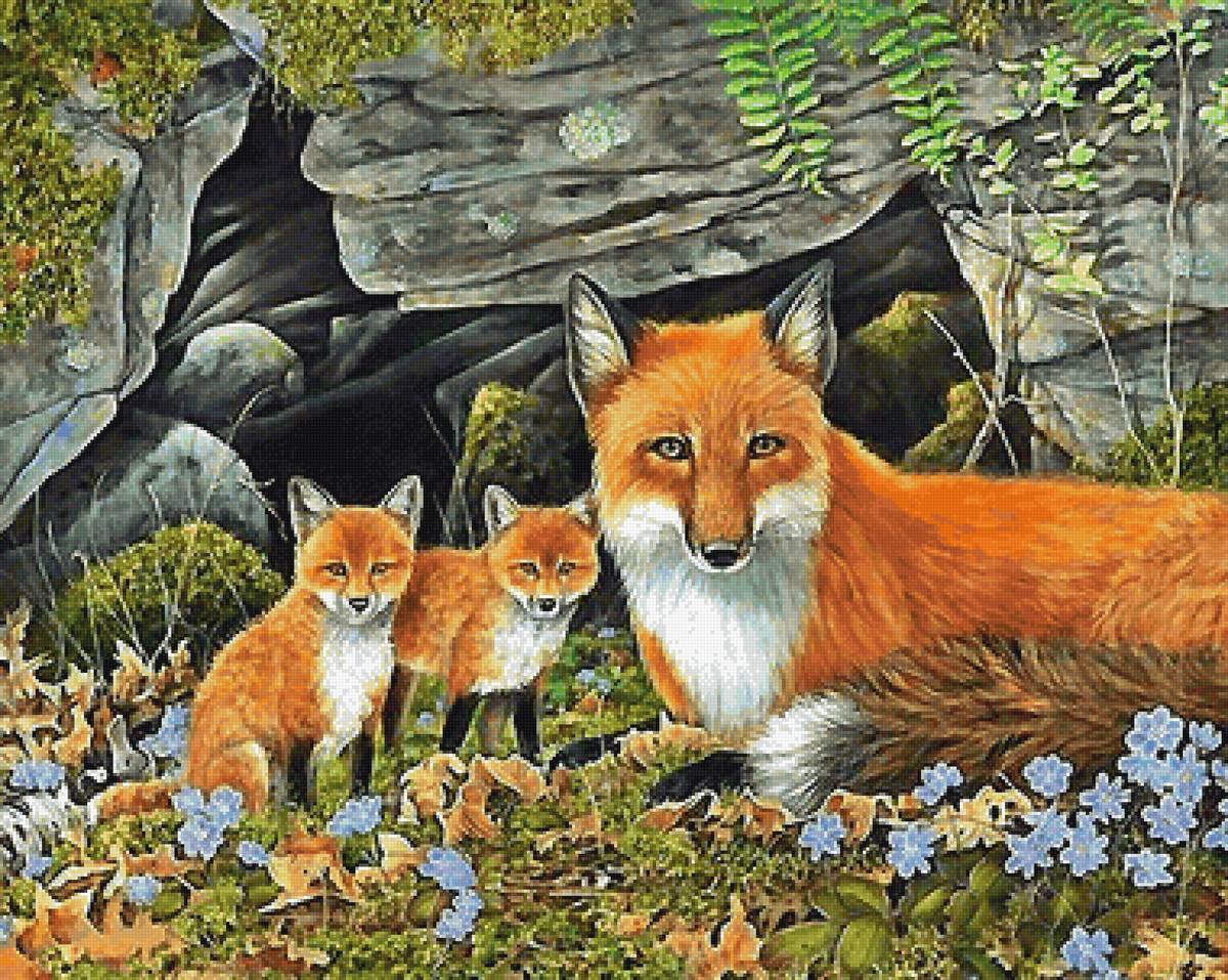 лисы - мир животных - предпросмотр