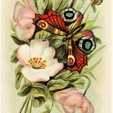 Схема вышивки «№2131073»