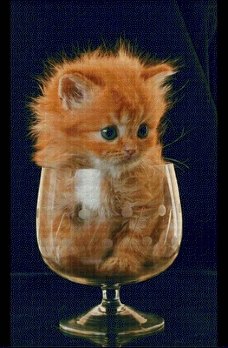 kitten - предпросмотр