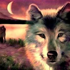 Схема вышивки «Волк»