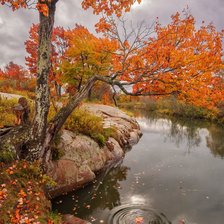 Схема вышивки «осень»