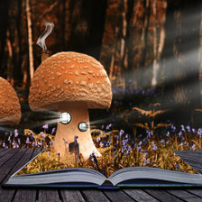 Схема вышивки «Странный мир»