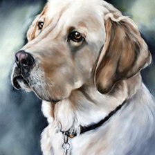 Схема вышивки «Преданный взгляд»