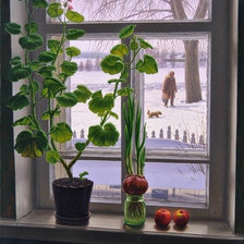 Схема вышивки «За геранью»