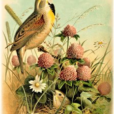 Схема вышивки «№2132172»