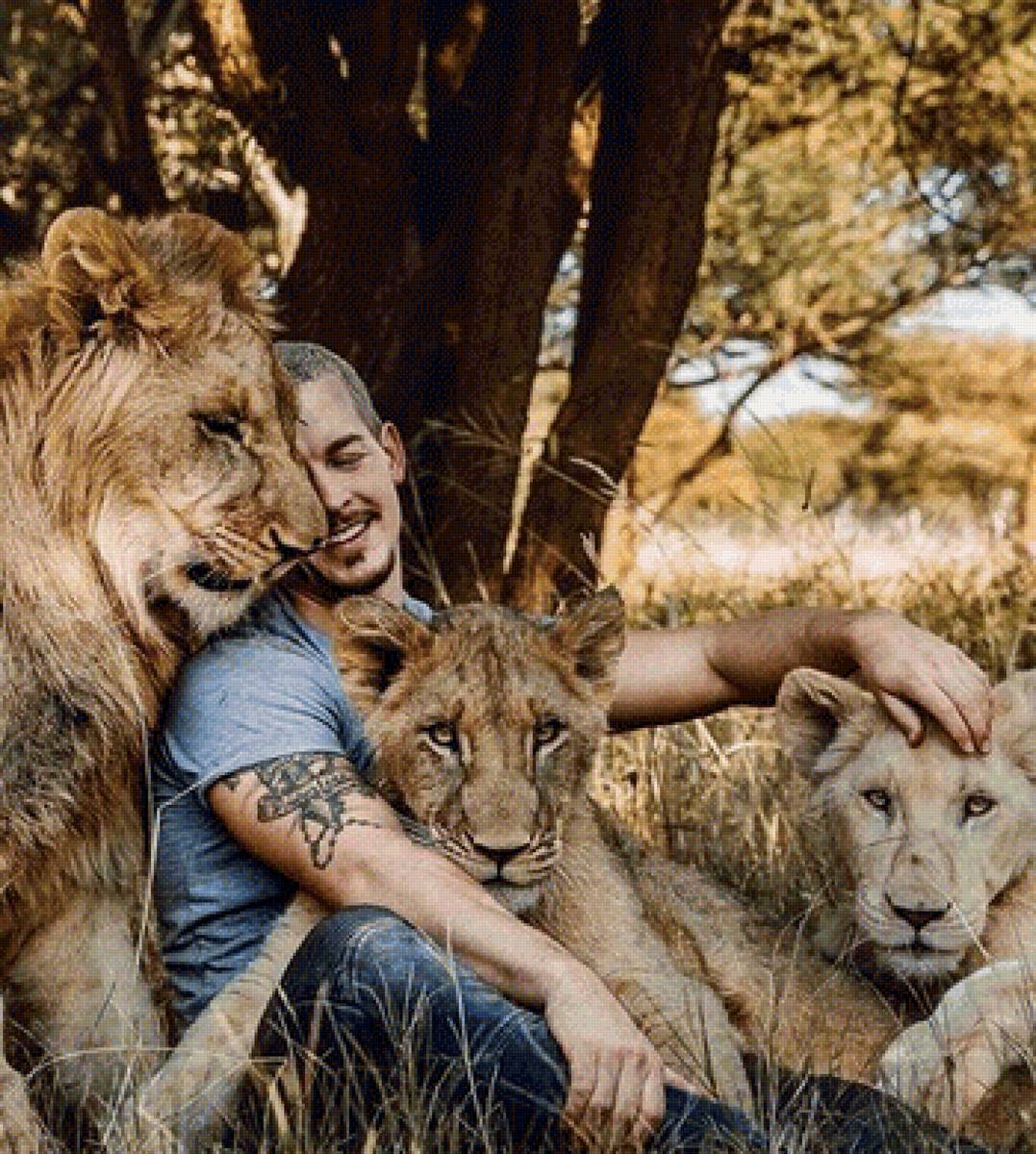 Дружба 7 - лев, животные, dean schneider, дружба, человек, львы - предпросмотр