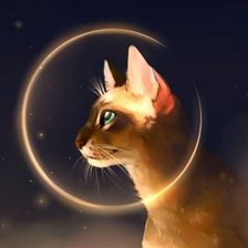 Схема вышивки «Кот»