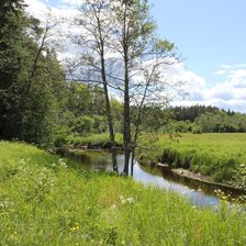 Схема вышивки «Реченька»