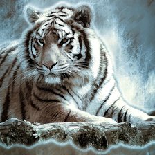 Схема вышивки «№2132831»