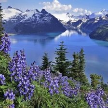 Схема вышивки «Горный пейзаж с цветами»