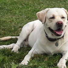 Схема вышивки «ВикКинг»