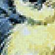 Предпросмотр схемы вышивки «птички» (№2133399)