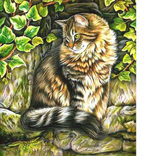 Схема вышивки «Кот»