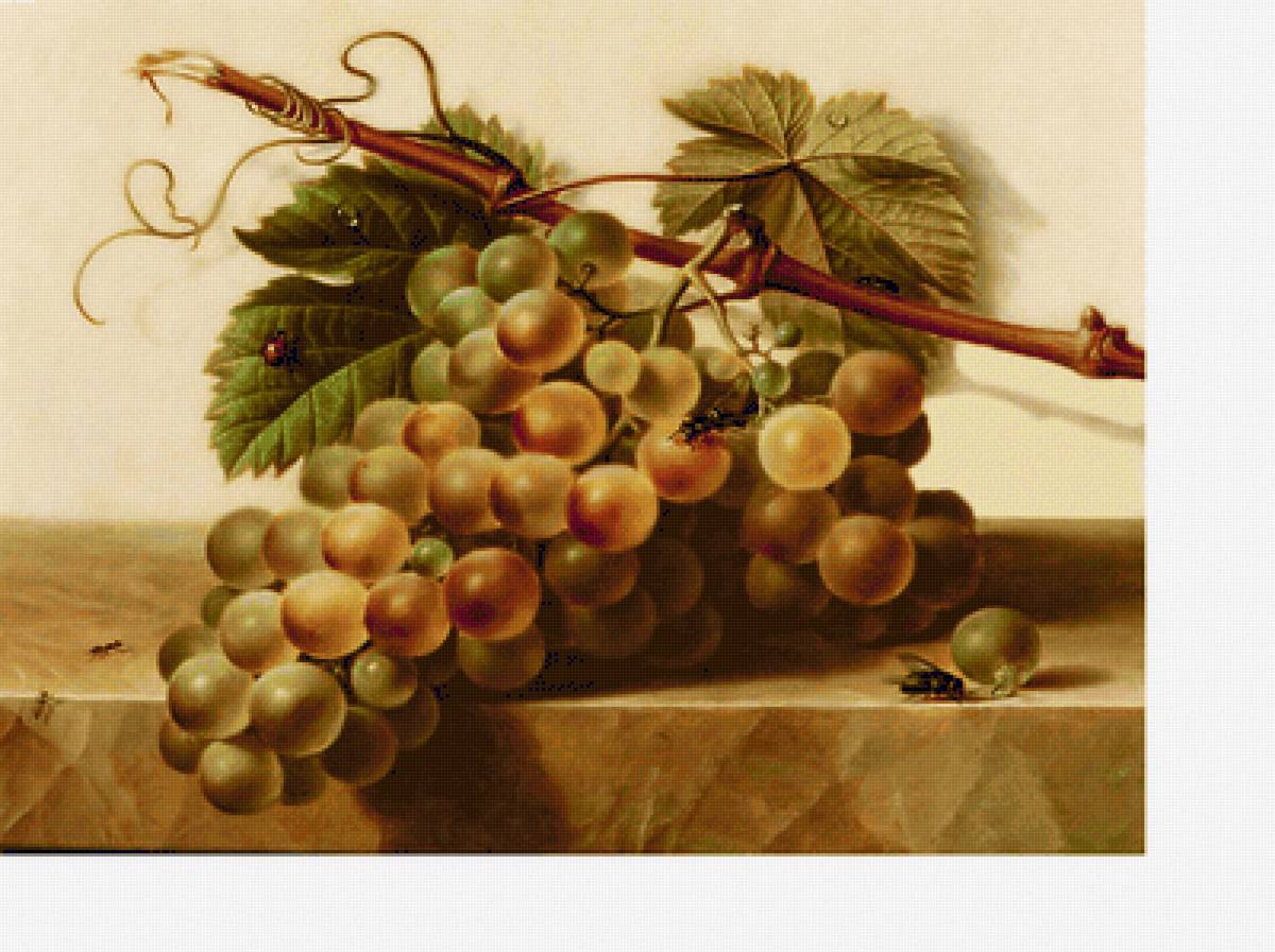 Натюрморт. - фрукты, натюрморт, живопись. - предпросмотр