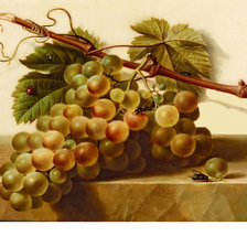 Схема вышивки «Натюрморт.»