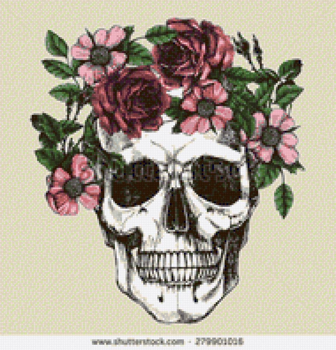 череп - предпросмотр