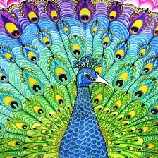 Схема вышивки «павлин»