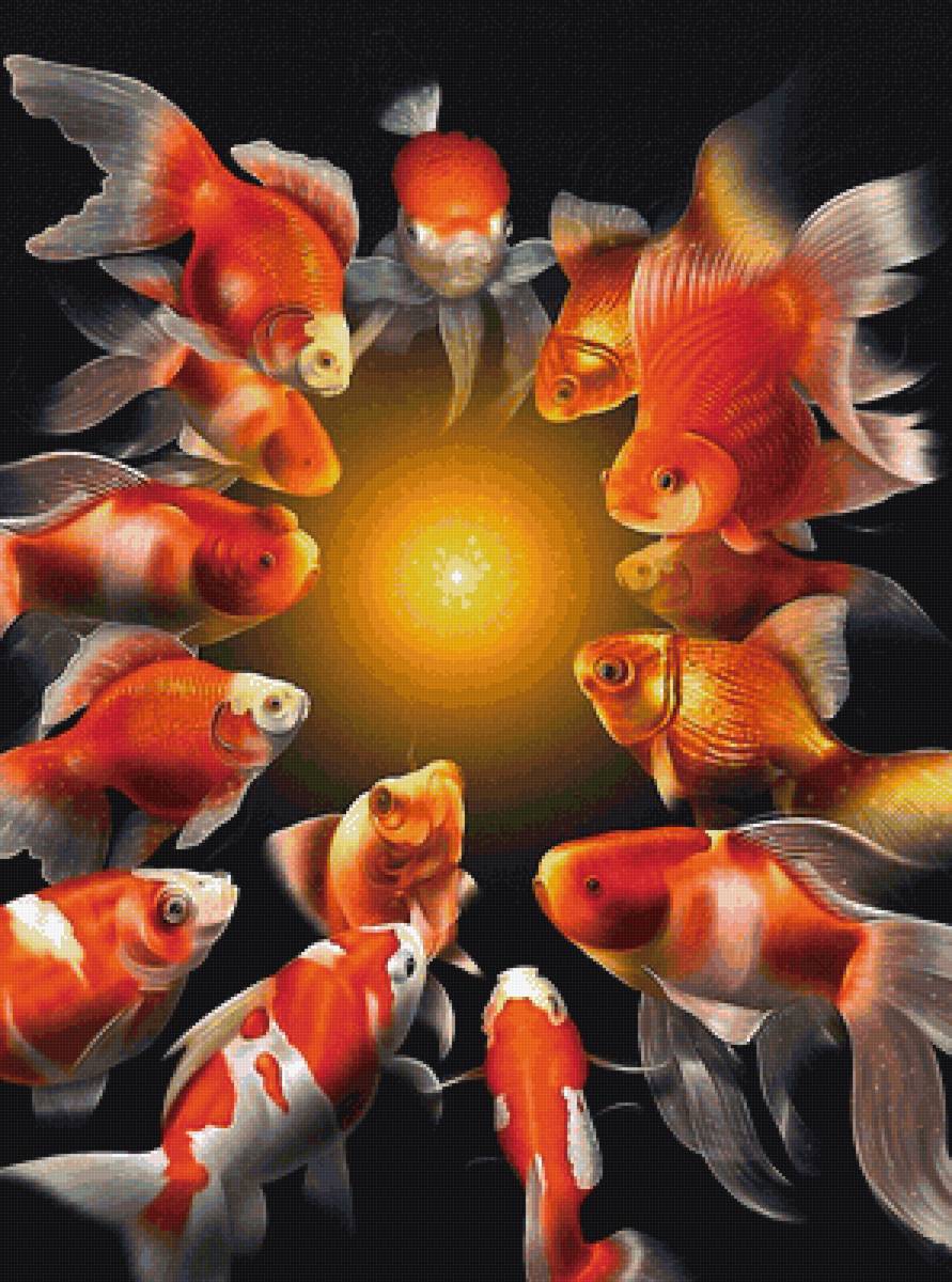 золотые рыбки - предпросмотр