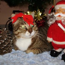 Схема вышивки «Василиса»