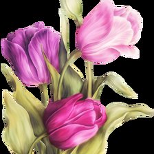 Схема вышивки «№2134106»