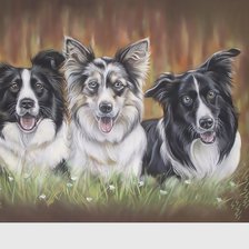 Схема вышивки «№2134210»