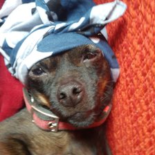 Схема вышивки «jubli»