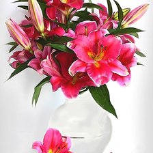 Схема вышивки «Лилии»