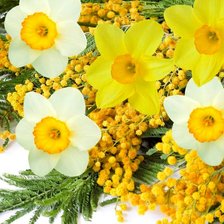 Схема вышивки «Нарциссы и мимоза»