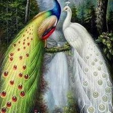 Схема вышивки «двое павлинов»