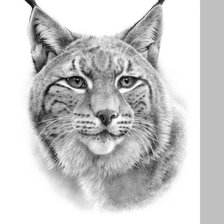 Схема вышивки «№2134998»