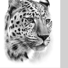 Схема вышивки «№2135000»