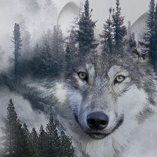 Схема вышивки «№2135082»