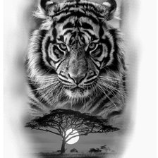 Схема вышивки «№2135112»