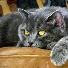 Схема вышивки «№2135284»