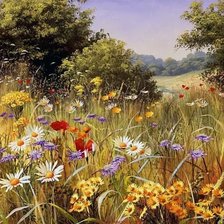 Схема вышивки «№2135342»