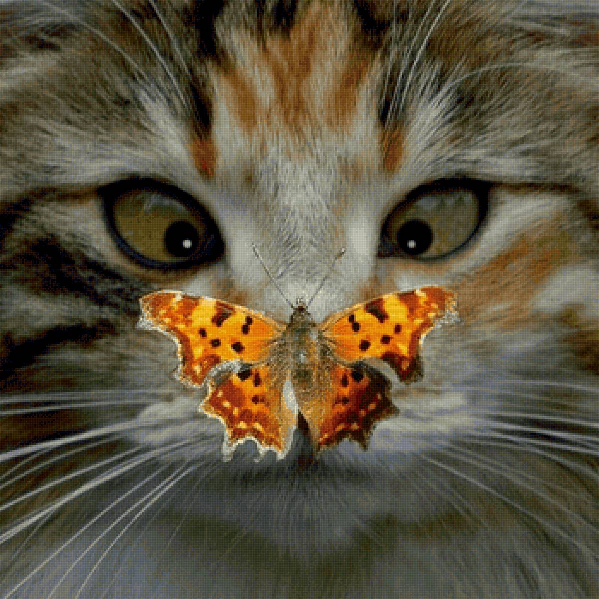 №2135344 - предпросмотр