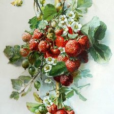 Схема вышивки «№2135694»