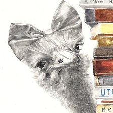 Схема вышивки «Любознательный страус»