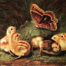 Схема вышивки «Цыплята. Arthur Fitzwilliam Tait»