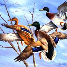 Схема вышивки «Летят утки»