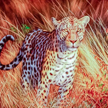 Схема вышивки «The Jaguar.»