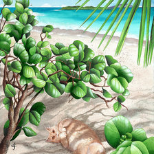 Схема вышивки «№2136989»