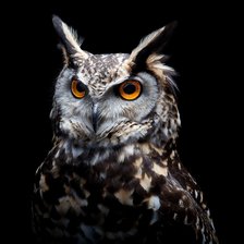 Схема вышивки «№2137064»