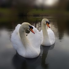 Схема вышивки «№2137177»