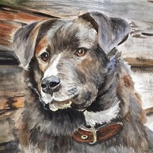 Схема вышивки «№2137321»