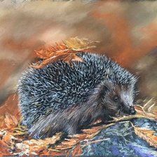 Схема вышивки «№2137324»