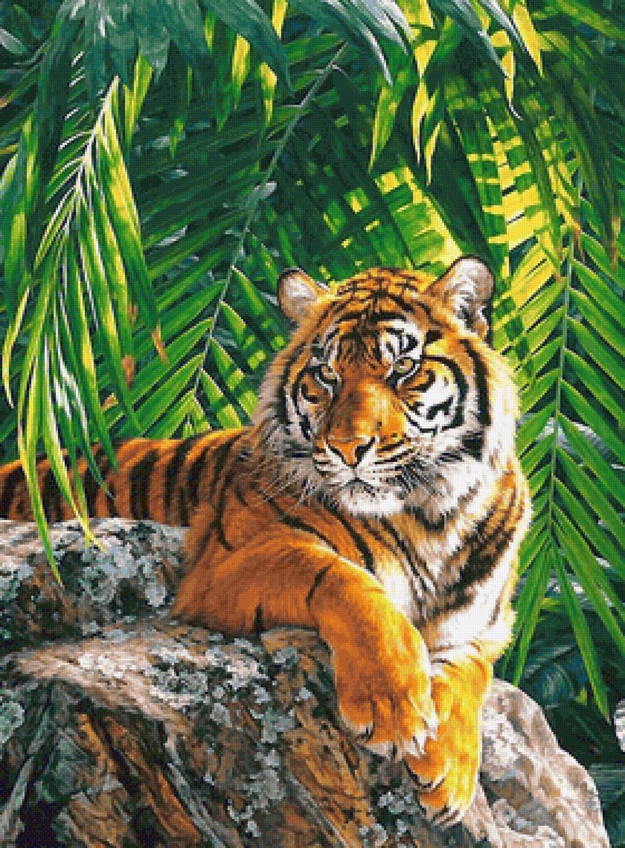 №2137520 - предпросмотр